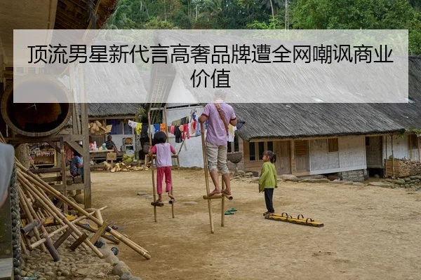 顶流男星新代言高奢品牌遭全网嘲讽商业价值